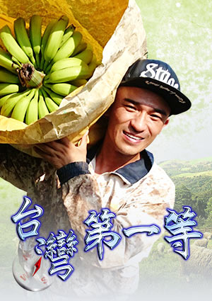台灣第一等-原鄉部落咖啡之旅 百年老樹超驚奇 第137集