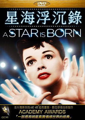 星海浮沉錄-A Star is Born