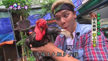 世界第一等-【越南】綠巨人雞 第772集