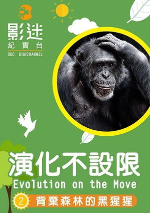 演化不設限-背棄森林的黑猩猩 第2集