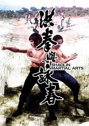 洪拳與詠春-Shaolin Martial Arts