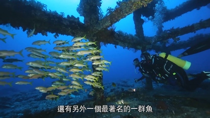 水下30米-綠島（一） 第1集