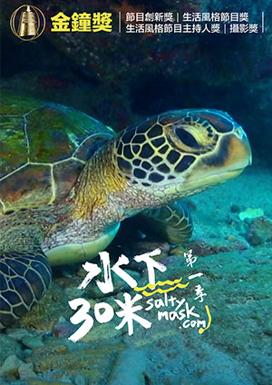 水下30米-菲律賓薄荷島跳島 第2集