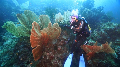 第5集 探索印尼韋島的水下烏托邦