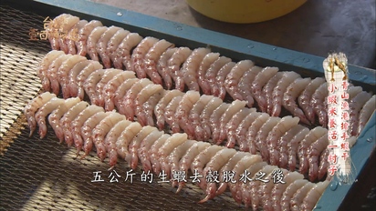 第51集 火燒蝦味鮮：青山漁港搶手蝦干、火爆浪子爆蝦餅