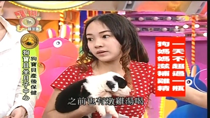 第26集 上海特別企劃 稀有的狗狗品種！狗寶貝的月子中心！