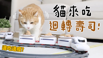 第152集 貓來吃迴轉壽司！順便減肥！