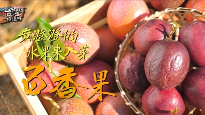 台灣好滋味-黃澄澄的水果來入菜 百香果 第19集