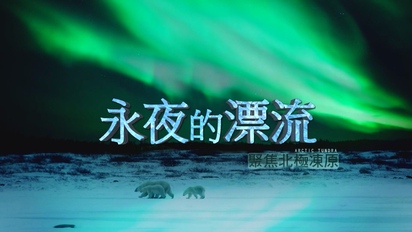 舒夢蘭聚焦世界全紀錄-永夜的漂流－聚焦北極凍原 第41集