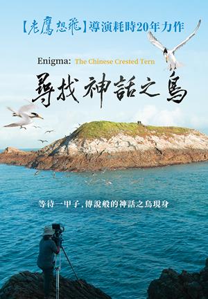 尋找神話之鳥-Enigma: The Chinese Crested Tern