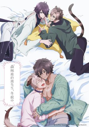 森林裡的熊先生、冬眠中。