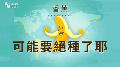 第8集 絕代香蕉：香蕉快要絕種了!?