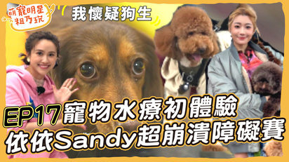 第4集 狗狗障礙賽超崩潰 依依 Sandy 被放電！ 寵物水療初體驗 呵喜懷疑狗生？