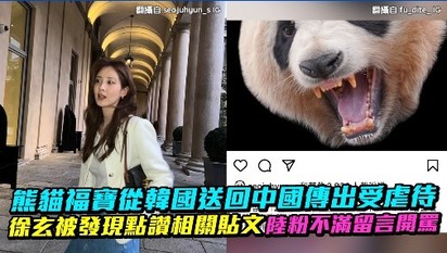 熊貓福寶從韓國送回中國傳出受虐待 徐玄被發現點讚相關貼文陸粉不滿留言開罵