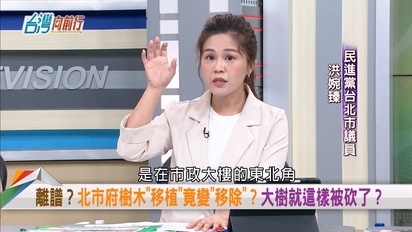 台灣向前行