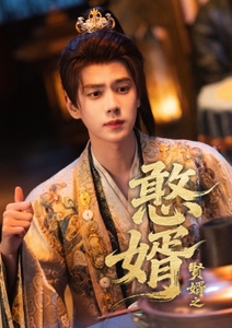 賢婿之憨婿