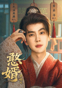 賢婿之憨婿