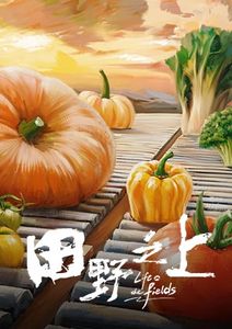 田野之上
