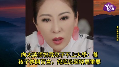 向太談張智霖兒子不上大學：養孩子像開盲盒，兜底比砸錢更重要